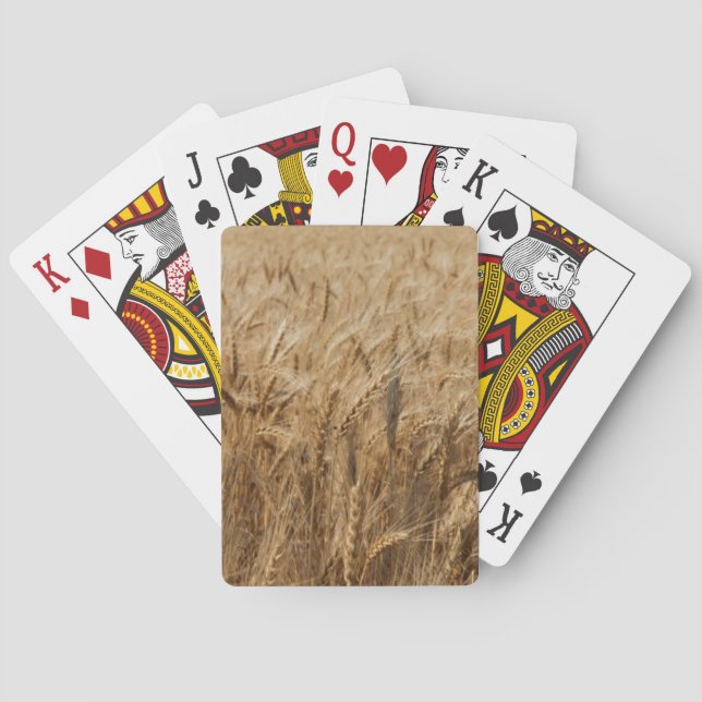 Baraja De Cartas Erick, Ruta 66 de Oklahoma (Reverso)