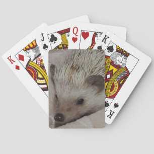 Baraja De Cartas Erizo sonriente