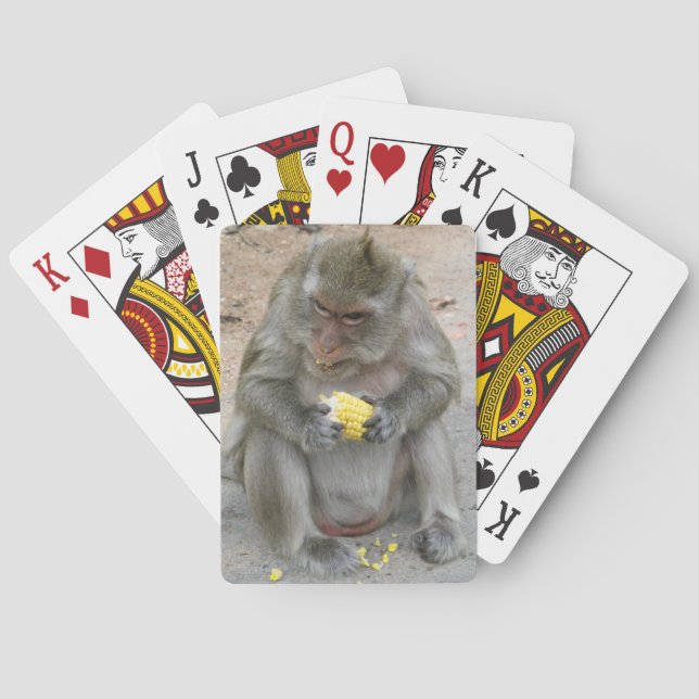 Baraja De Cartas ¡Es mío! ... Mono Macaque tailandés salvaje (Reverso)