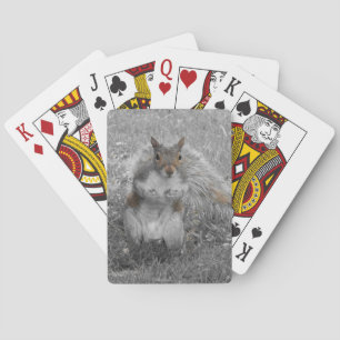 Baraja De Cartas Es una ardilla