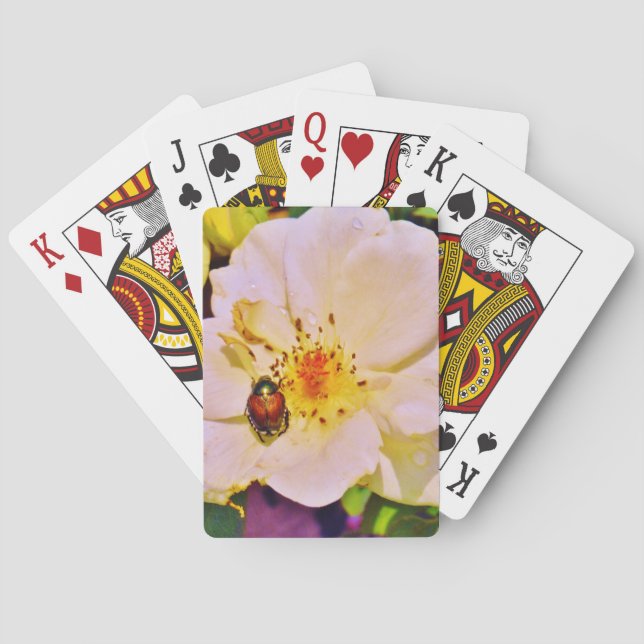 Baraja De Cartas Escarabajo japonés sobre rosa blanco (Reverso)