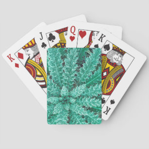 Baraja De Cartas Escarcha en Thistle, Parque Nacional Olímpico