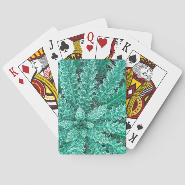 Baraja De Cartas Escarcha en Thistle, Parque Nacional Olímpico (Reverso)