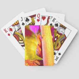 Baraja De Cartas Escarnio