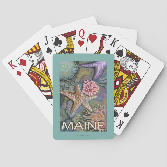 Baraja De Cartas Escena de MaineTidepool (Reverso)