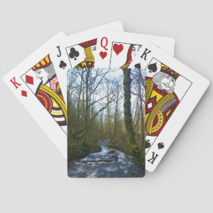 Baraja De Cartas Escurrimiento desde las cataratas del velo de novi