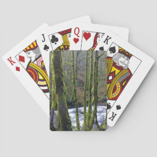 Baraja De Cartas Escurrimiento desde las cataratas del velo de novi