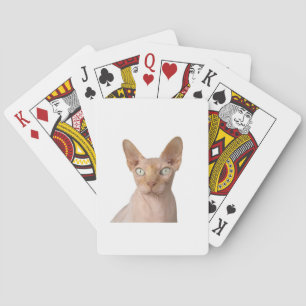 Baraja De Cartas esfinx