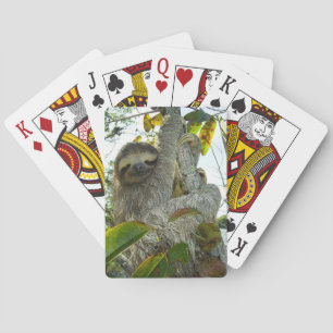 Baraja De Cartas Eslogan