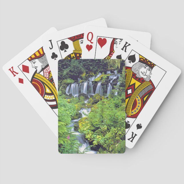 Baraja De Cartas Estados Unidos, Estado de Washington, Wilderness d (Reverso)
