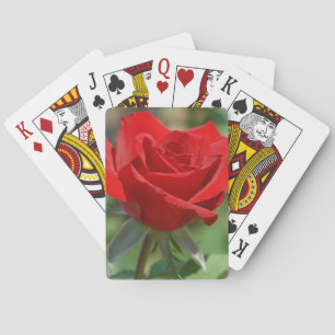Baraja De Cartas Estados Unidos, Kansas, Red Rose