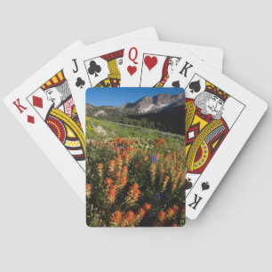 Baraja De Cartas Estados Unidos, Utah, Bosque Nacional Uinta-Wasatc