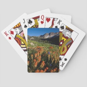 Baraja De Cartas Estados Unidos, Utah, Bosque Nacional Uinta-Wasatc