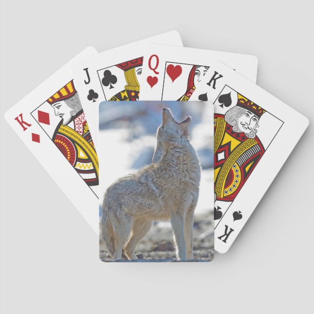 Baraja De Cartas Estados Unidos, Wyoming, Parque Nacional Yellowsto (Reverso)