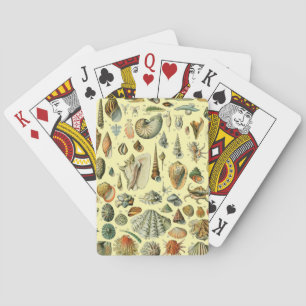 Baraja De Cartas Estampa vintage de conchas de Adolphe Millot Coste
