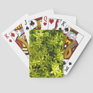 Baraja De Cartas estrella verde como planta de flores