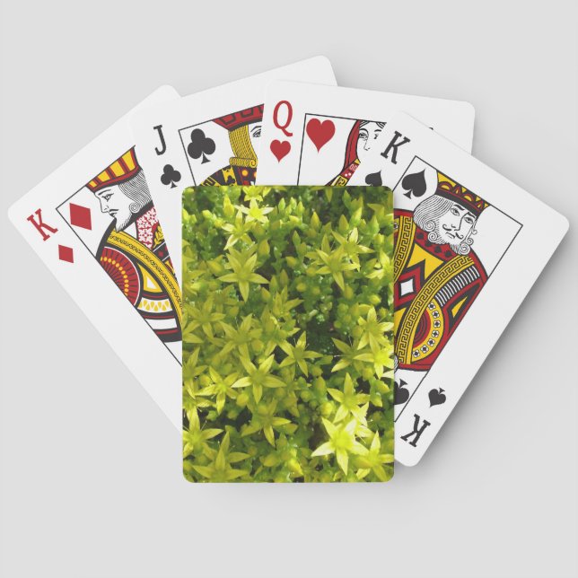 Baraja De Cartas estrella verde como planta de flores (Reverso)