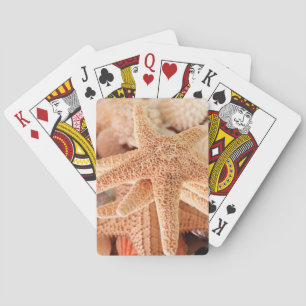 Baraja De Cartas Estrellas de mar secas vendidas como souvenirs 2