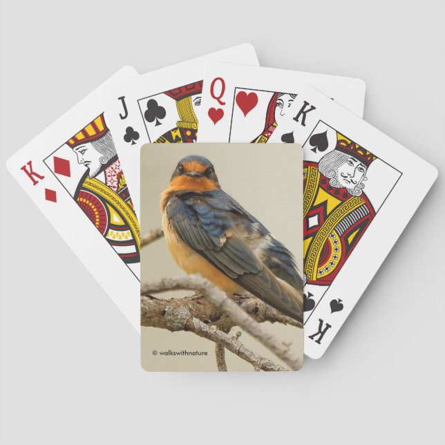 Baraja De Cartas Estrellas de negociación con una golondrina (Reverso)
