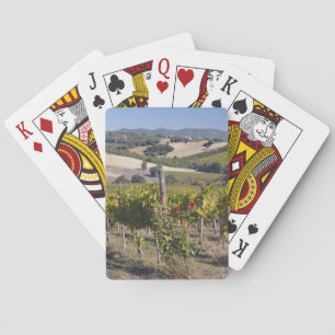 Baraja De Cartas Europa, Italia, Umbría, cerca de Montefalco,