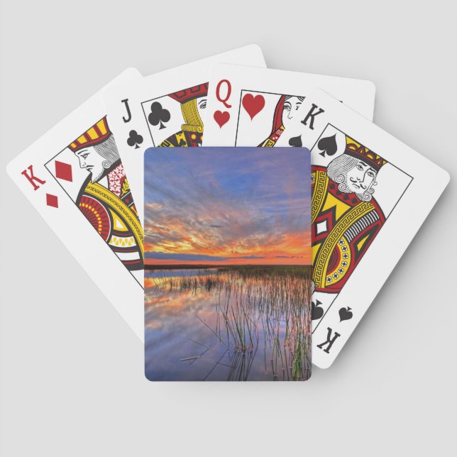 Baraja De Cartas Everglades Coloridos, Florida, (Reverso)