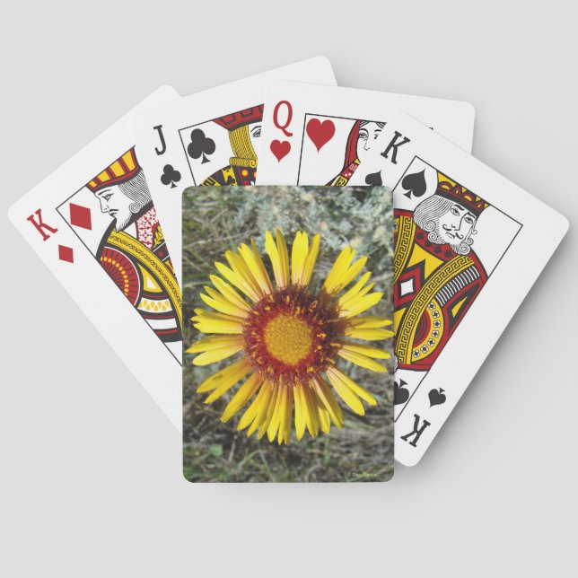 Baraja De Cartas F1 Flor silvestre amarilla Gaillardia (Reverso)