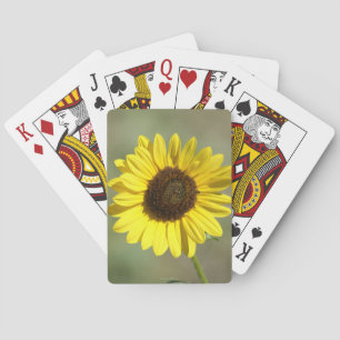 Baraja De Cartas F47 Flor Silvestre Amarilla Girasol Anual Común