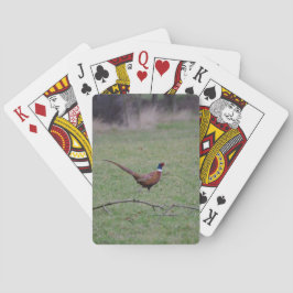 Baraja De Cartas Faisán