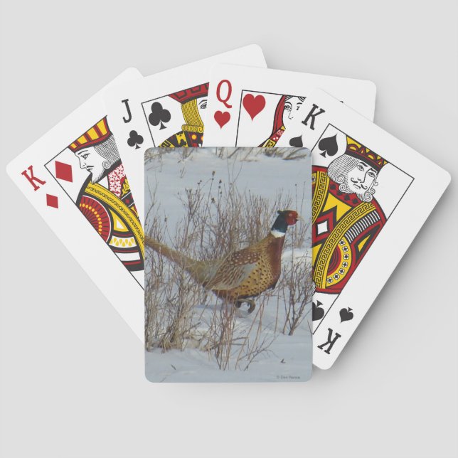 Baraja De Cartas Faisán Anillo-necked B23 en nieve (Reverso)