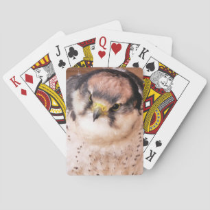 BARAJA DE CARTAS FALCON BIRD DE PREY
