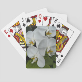 Baraja De Cartas Falenopsis blanca Orquídea Floral