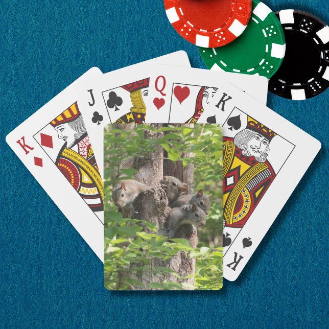 Baraja De Cartas Familia de ardillas en la fotografía de la natural (A funny squirrel family peeks out of a leafy tree on these playing cards. A great stocking stuffer!)