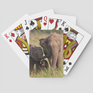 Baraja De Cartas Familia de elefantes asiáticos indios en la sabana