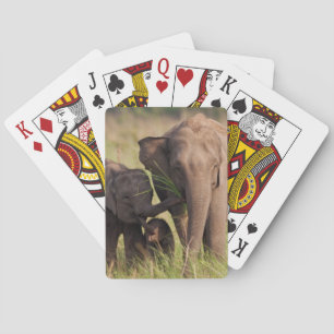 Baraja De Cartas Familia de elefantes asiáticos indios en la sabana