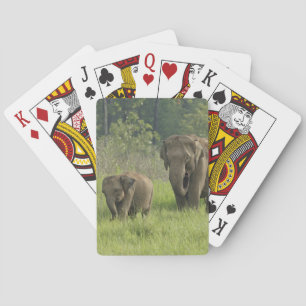 Baraja De Cartas Familia de elefantes indios