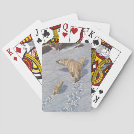 Baraja De Cartas Familia de osos polares en la nieve ártica
