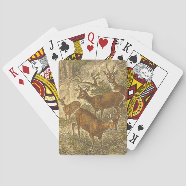 Baraja De Cartas Familia de Roe - Deers en un bosque (Reverso)