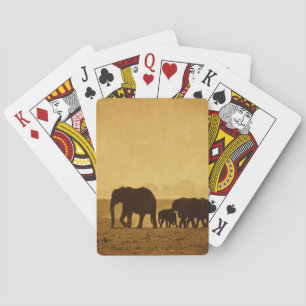 Baraja De Cartas Familia Elephant