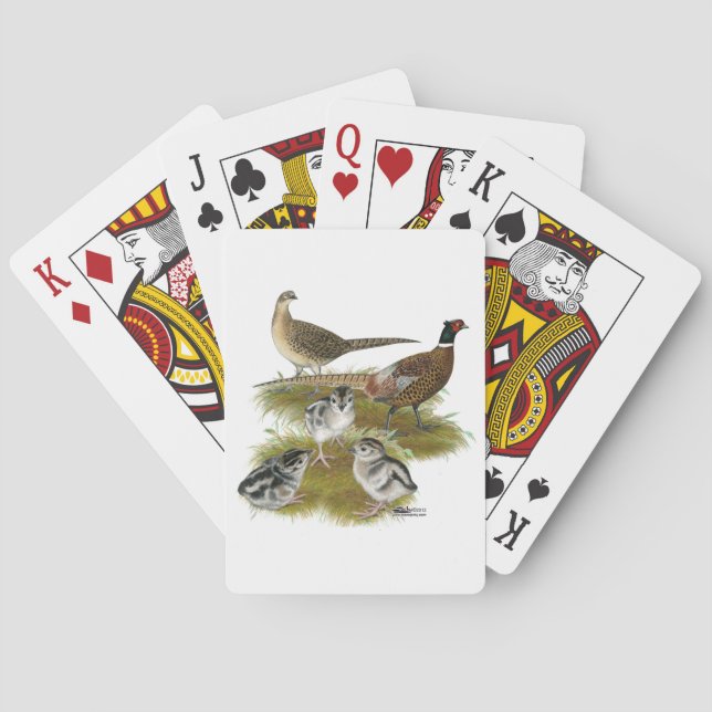 Baraja De Cartas Familia Pheasant Ringneck (Reverso)