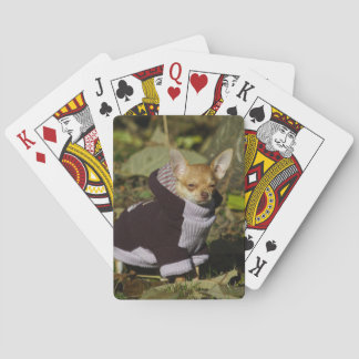 Baraja De Cartas Fancy Chihuahua