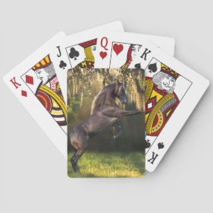 Baraja De Cartas Fantasy Horses: Warrior Prince