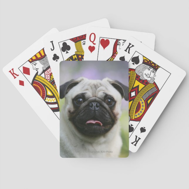 Baraja De Cartas Fawn Pug en alerta (Reverso)