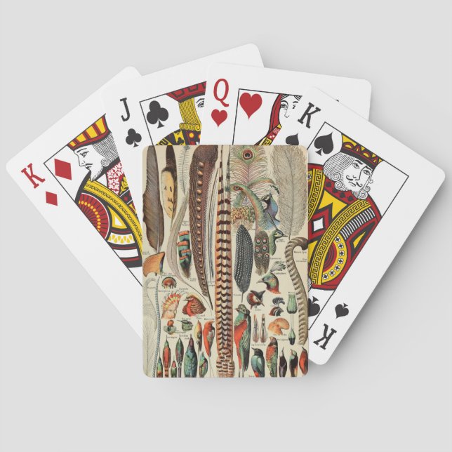 Baraja De Cartas Feather Bird Wildlife Antigüedades Feathers (Reverso)
