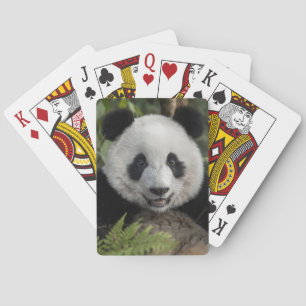 Baraja De Cartas Feliz panda joven, China