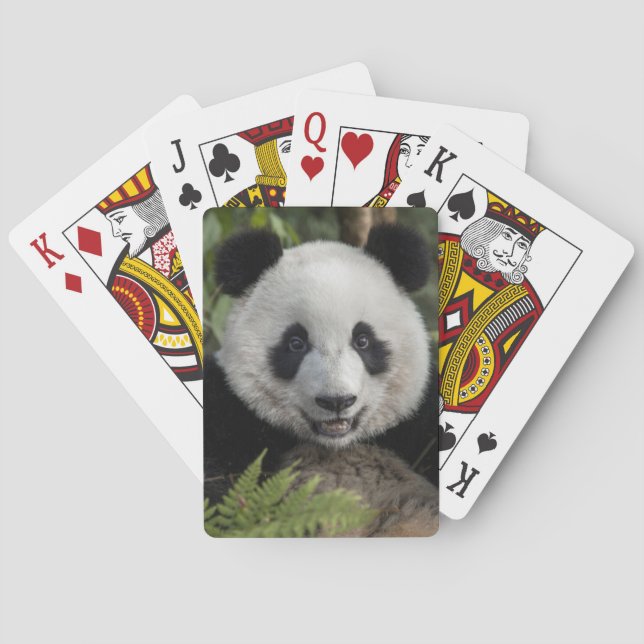 Baraja De Cartas Feliz panda joven, China (Reverso)