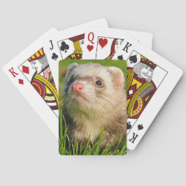 Baraja De Cartas Ferret en la hierba