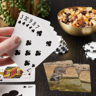 Baraja De Cartas **"Festín Pondside: Un Otter y su atracción"**
