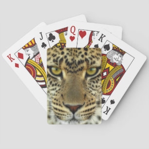 Baraja De Cartas Fierce Leopard