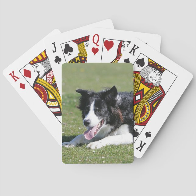 Baraja De Cartas Fijación del border collie (Reverso)