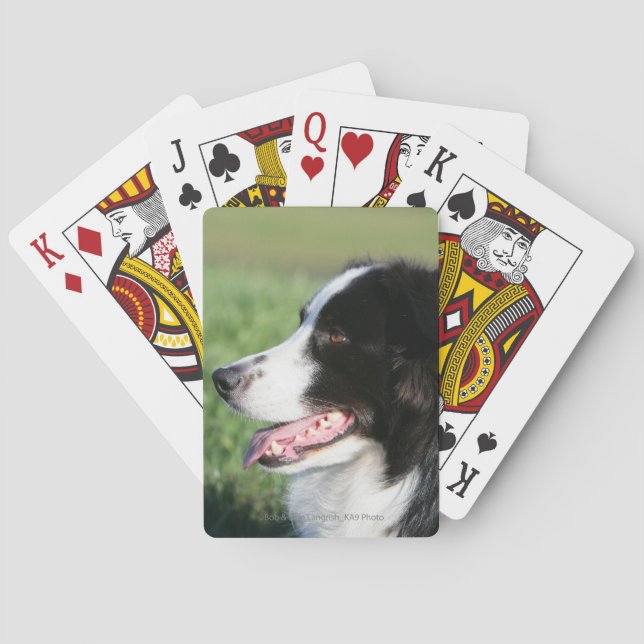 Baraja De Cartas Fijación del perrito del border collie (Reverso)